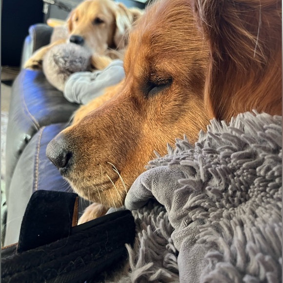 Geox Wedge Sandal, NWOT, Size 39, Black - Picture 6 of 6